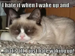 🤪 d8cb4287 Grumpy Cat I hate it when I wake up and...
...that's all, I just hate waking up! mèo gắt gỏng, meme, mèo, buồn ngủ, ghét, tỉnh giấc, hài hước telegram sticker