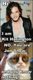 😹 e1c723ef Jon Snow Game of Thrones Hi
I am
Kit Harington
NO. You are
Jon Snow
and you know
nothing! Meme, Grumpy Cat, Jon Snow, Kit Harington, Game of Thrones, Bạn không biết gì cả telegram sticker