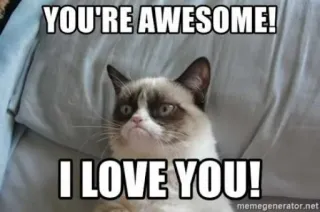 💘 e24384cb Grumpy Cat YOU'RE AWESOME!
I LOVE YOU! Meme, Mèo, Grumpy Cat, Tuyệt vời, Tình yêu, Meme trên mạng telegram sticker