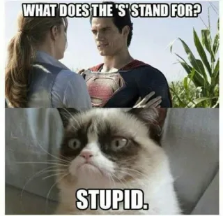 🤩 f50b16e2 Superman WHAT DOES THE 'S' STAND FOR?
STUPID. siêu nhân, grumpy cat, meme, hài hước, ngu ngốc, hài telegram sticker