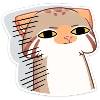 😐 68fa0a95 고양이, 동물, 스티커, 밈, 웃긴, 귀여운, 표정, 빈정거리는 telegram sticker