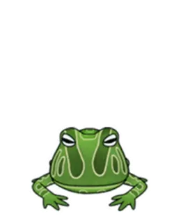 🐸 3513acfc rana, anfibio, cartone animato, verde, animale, meme telegram sticker