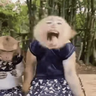 🌱 079c1ed6 monyet, hewan, teriakan, satwa liar, lucu, meme whatsapp sticker