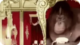 👑 662ec89c whatsapp sticker