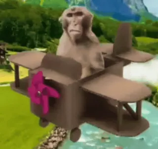 🥸 67620d81 monyet, pesawat, binatang, lucu, kartun, meme, pesawat vintage whatsapp sticker