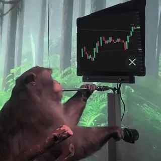 💵 678f811b monyet, kripto, trading, keuangan, saham, grafik candlestick whatsapp sticker