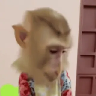 🥺 6dae4952 whatsapp sticker