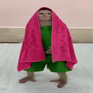 🤧 a1319f91 monyet, binatang, handuk, imut, merah muda, hijau, primata whatsapp sticker