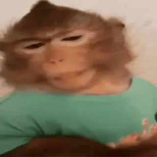 😁 b5d616eb monyet, binatang, meme whatsapp sticker