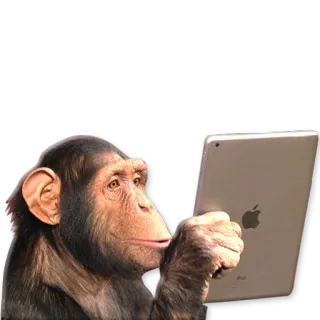 🐒 1758477c scimmia, scimmia antropomorfa, iPad, tecnologia, animale telegram sticker