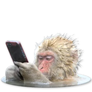 Users @NBstickeria telegram stickers