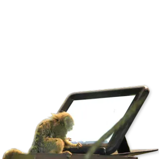 🐒 6f93f279 scimmia, laptop, animale, tecnologia telegram sticker