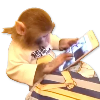🐒 6fab0c30 scimmia, animale, iPad, tecnologia, carino telegram sticker