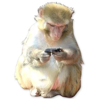 🐒 95d85cfb scimmia, primate, animale, smartphone, tecnologia, scimmia antropomorfa telegram sticker