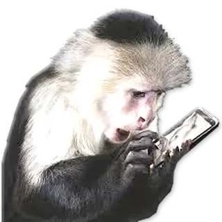 🐒 d8e474d5 scimmia, animale, primate, smartphone, tecnologia telegram sticker