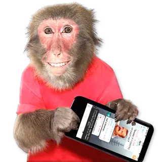 🐒 f076c364 scimmia, animale, primate, smartphone, meme telegram sticker