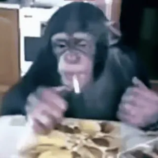 Успех 🏆 | @e4zybot ⚡ whatsapp stickers