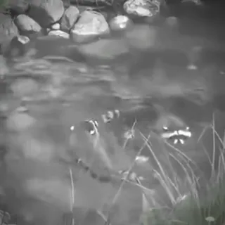 😱 27804ddd telegram sticker