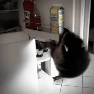 😜 2d30433e telegram sticker