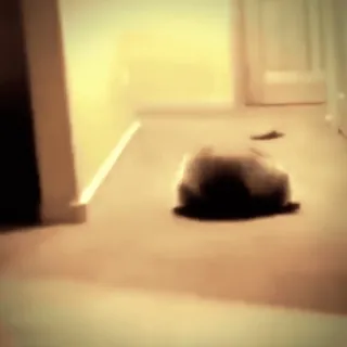 😜 730e0a4b telegram sticker