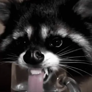 Больше стиков тут: @stikery4 telegram stickers