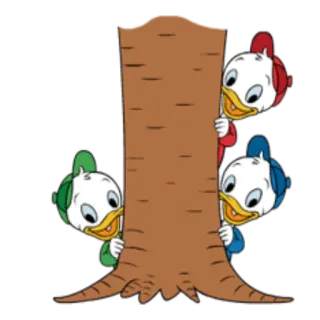 👼 e07aae20 Huey, Dewey, and Louie cartoon, disney, huey, dewey, louie, ducks, tree, peeking whatsapp sticker