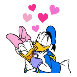 😘 f581de4a Donald Duck cartoon, kiss, love, hearts, animation, disney, daisy duck whatsapp sticker