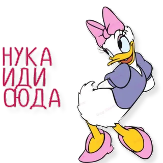😻 92599c3e Daisy Duck НУКА ИДИ СЮДА 黛丝·鸭, 卡通, 迪士尼, 问候, 俄语 telegram sticker
