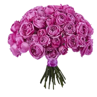🌸 03de0a87 bouquet, flowers, roses, pink, floral arrangement, gift, celebration telegram sticker