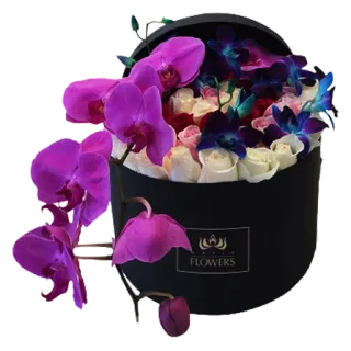 🌺 1d9303ae FLOWERS flowers, orchid, roses, floral arrangement, gift, bouquet, black box telegram sticker