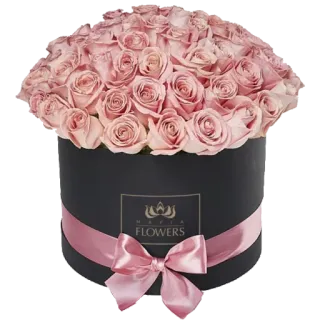 🌷 240606cf MAFIA
FLOWERS flowers, roses, bouquet, floral arrangement, gift, celebration, pink roses, luxury telegram sticker