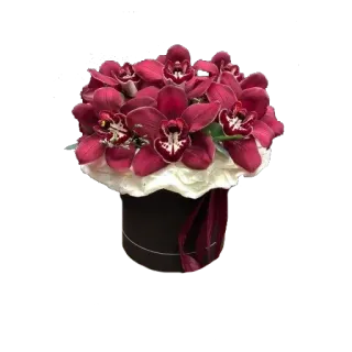 🌺 3059207d flowers, orchids, bouquet, floral arrangement, gift, arrangement, red orchids telegram sticker