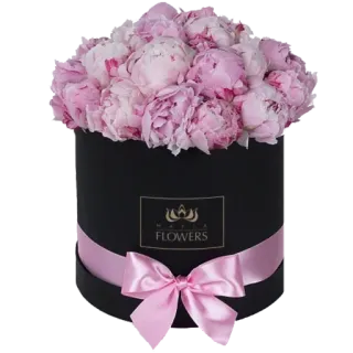 🌸 55101834 MATZA FLOWERS flowers, peonies, floral arrangement, gift, bouquet, pink telegram sticker