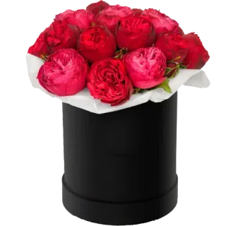 💐 55477408 flowers, roses, bouquet, red, gift, arrangement, box, floral telegram sticker