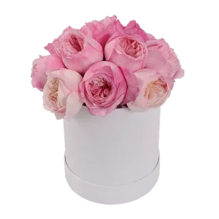 💐 574494a6 flowers, roses, pink, bouquet, floral arrangement, gift, bloom, white box telegram sticker
