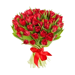 💐 67751c3e tulips, flowers, bouquet, red, gift, celebration telegram sticker