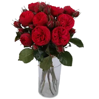 🌹 871ba40c flowers, roses, bouquet, red roses, glass vase, floral arrangement, red telegram sticker