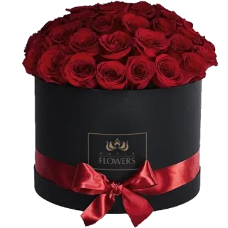 🌹 903b315a MAFIA
FLOWERS flowers, roses, bouquet, gift, red roses, flower box, arrangement telegram sticker