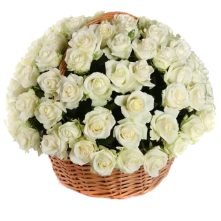 🌹 bc6aad9c flowers, roses, white roses, basket, bouquet, floral arrangement telegram sticker