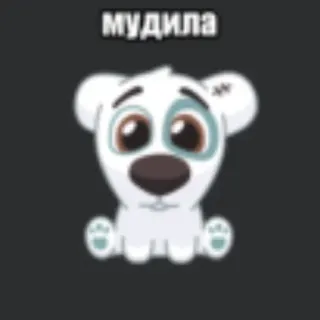 💥 ac1667f4 мудила penghinaan, beruang kartun, menyinggung, makian telegram sticker