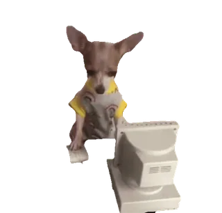 💻 0aa71fd5 cane, chihuahua, computer, internet, meme, animale, carino telegram sticker