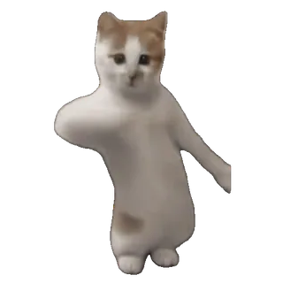 💃 8a31b11f gatto, ballare, meme, carino, animale, divertente telegram sticker