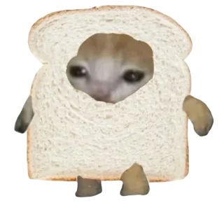 🍞 242426ff Katze, Brot, Meme, Lustig, Traurig, Tier telegram sticker