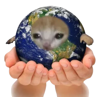 🌎 290d3a5a Katze, Welt, Erde, Hände, traurige Katze, Meme telegram sticker