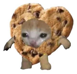 🍪 4172afa4 Katze, Keks, traurig, Herz, lustig, Meme telegram sticker