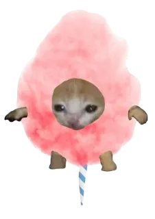 🎀 58f8cb01 Katze, Zuckerwatte, lustig, süß, Meme telegram sticker