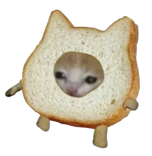 🥯 831f60f8 Katze, Brot, Meme, Tier, lustig, Haustier, süß telegram sticker
