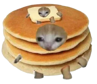 🥞 95835c39 Katze, Pfannkuchen, Butter, Meme, Lustig, Essen telegram sticker