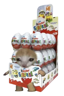 uwuшка ⋆ @tulikettuwu telegram stickers