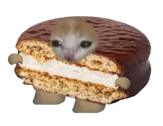 🤎 f423b9fe Katze, Essen, Keks, süß, lustig, Meme, Tier, Sandwich telegram sticker